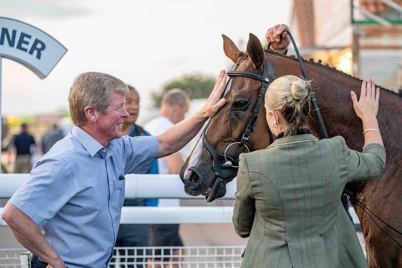 Over The Stable Door